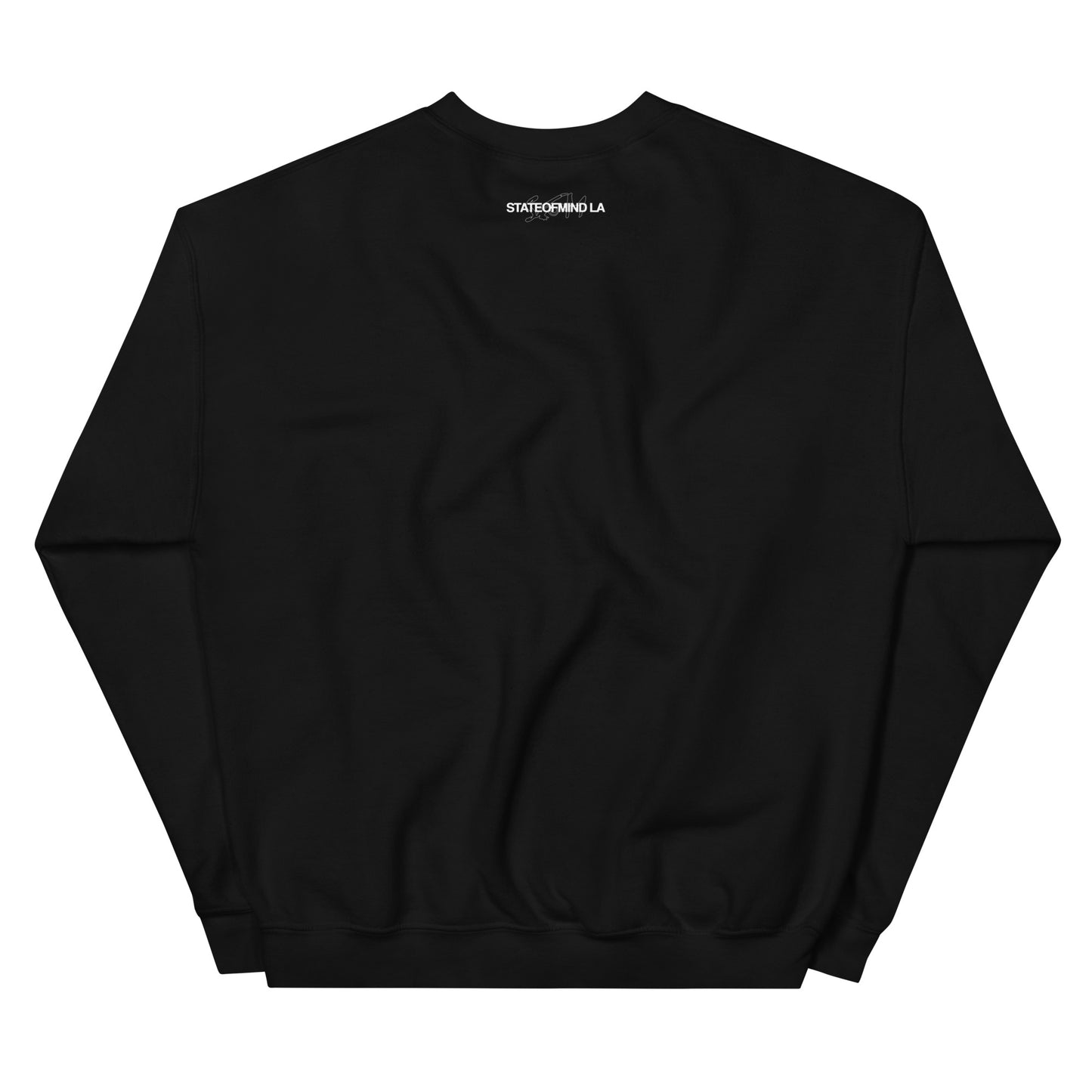 Logo DTG Print Crew Neck- Unisex Sweatshirt