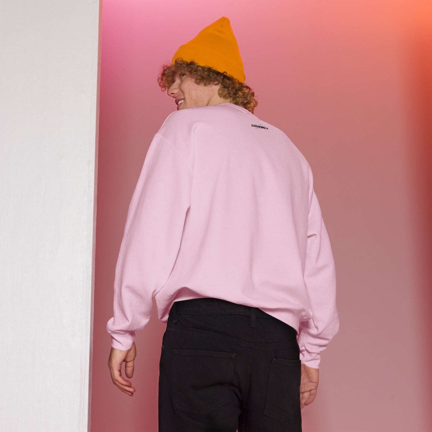 Logo DTG Print Crew Neck- Unisex Sweatshirt