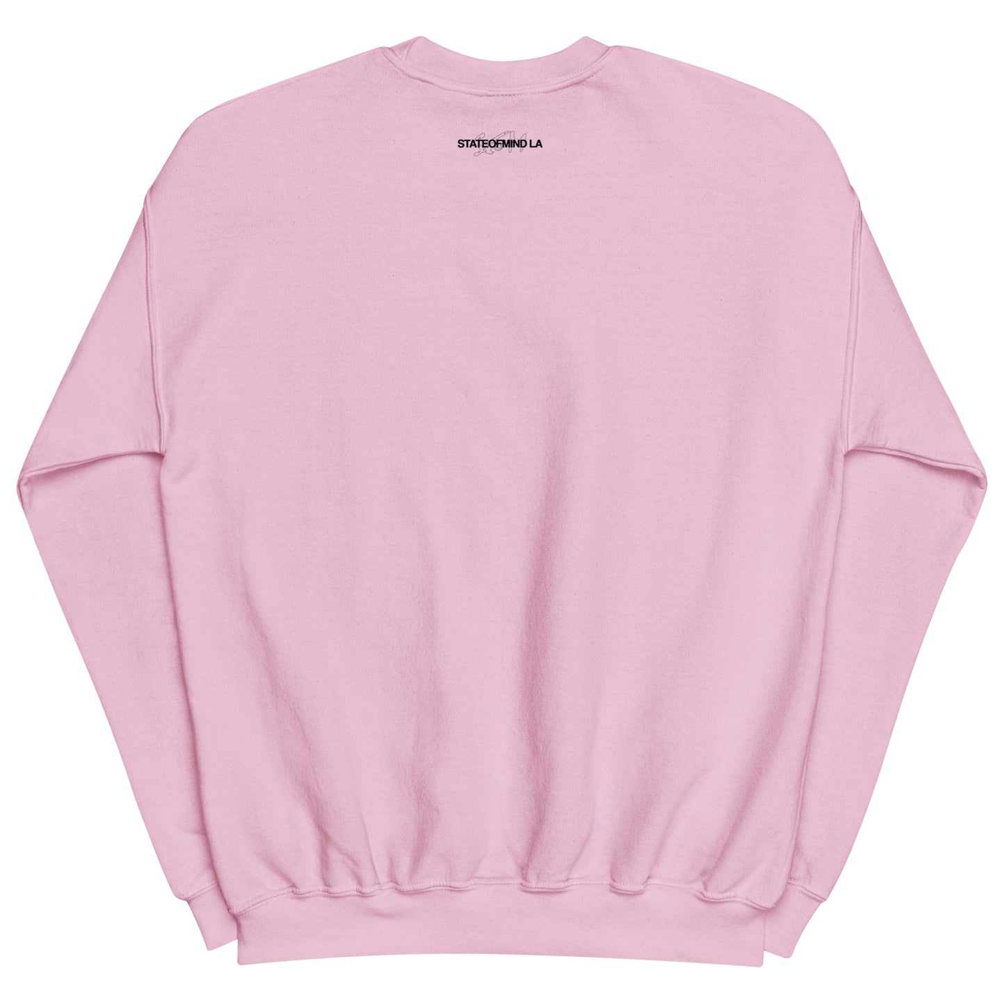 Logo DTG Print Crew Neck- Unisex Sweatshirt