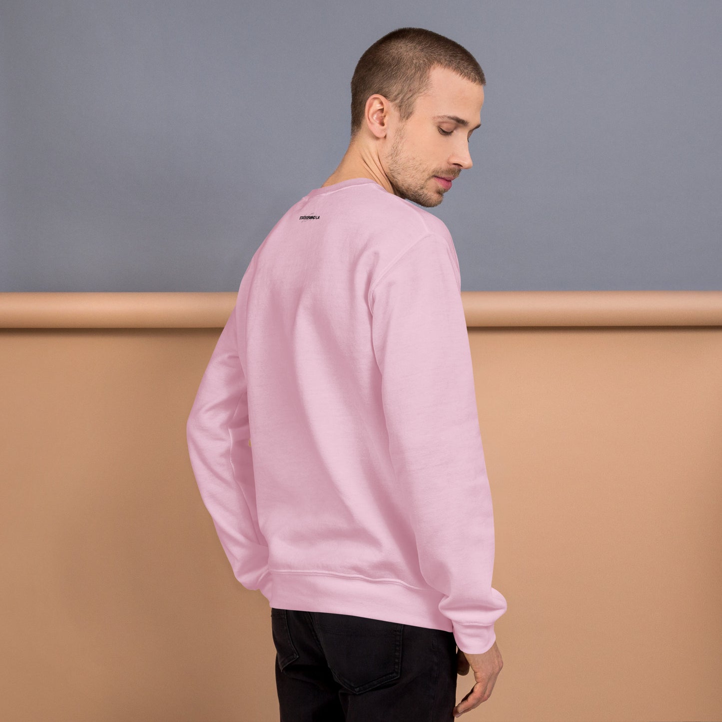 Logo DTG Print Crew Neck- Unisex Sweatshirt