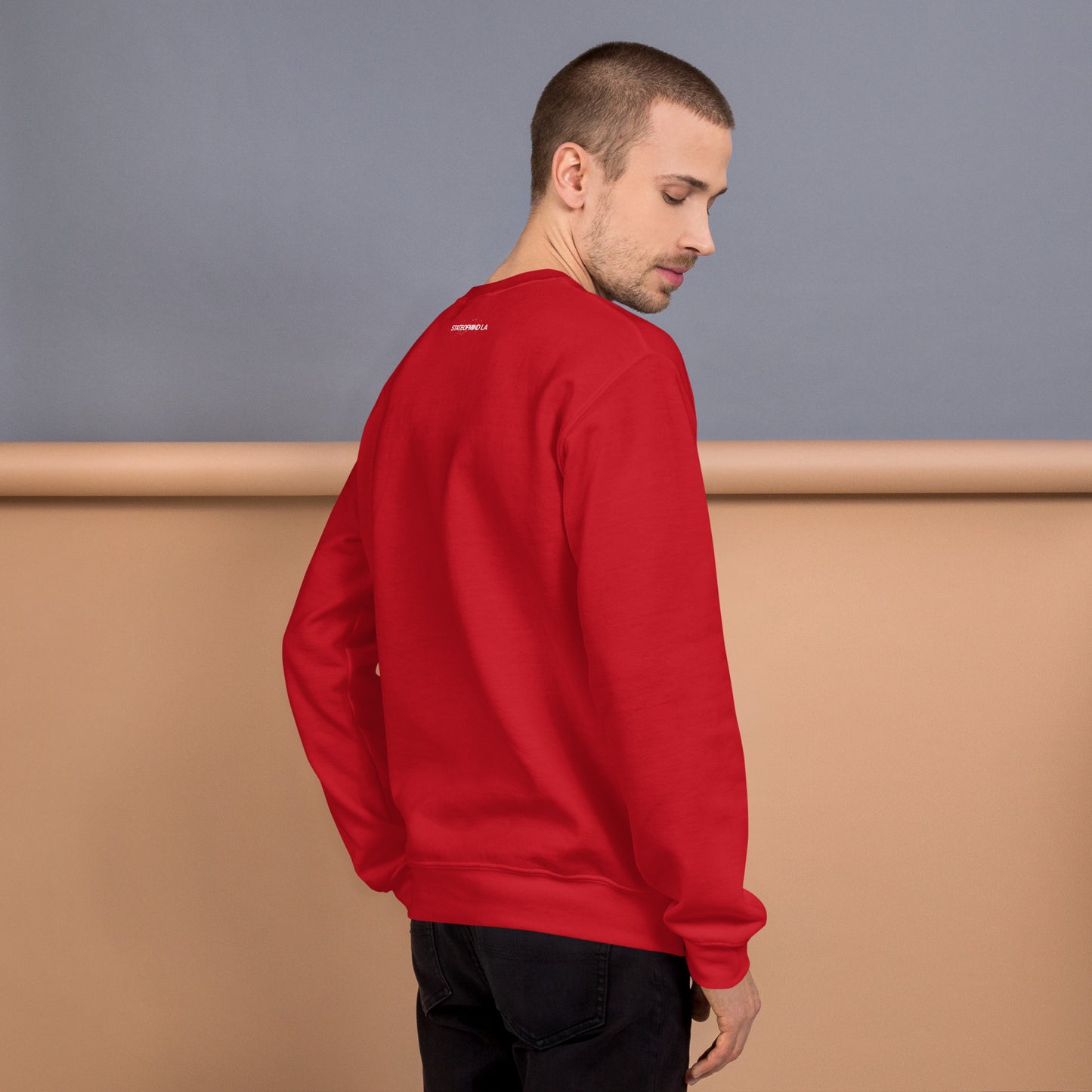 STATEOFMIND LA (black font) DTG Print- crew neck unisex
