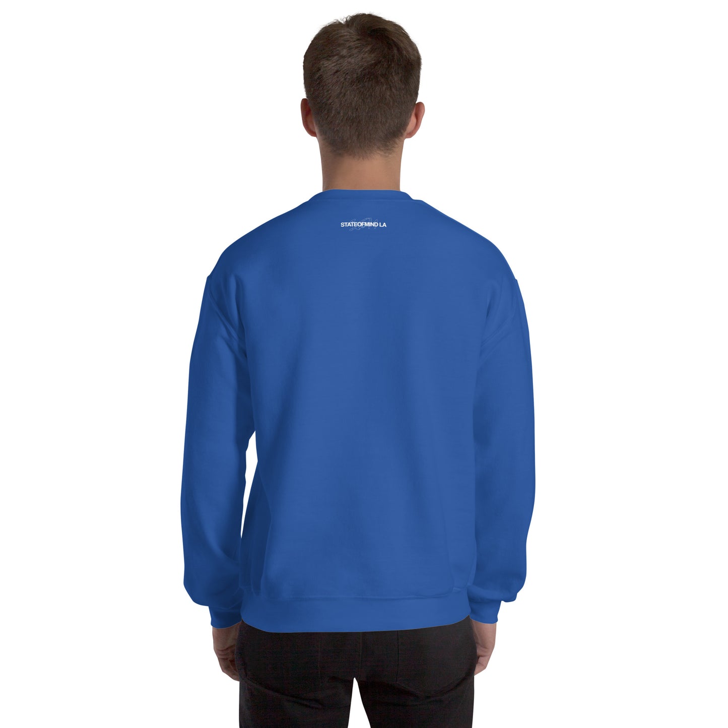 Logo DTG Print Crew Neck- Unisex Sweatshirt