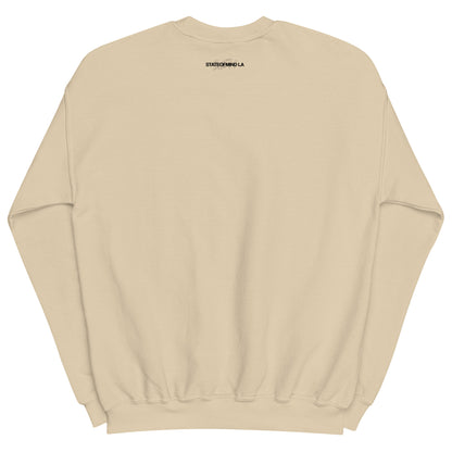 Logo DTG Print Crew Neck- Unisex Sweatshirt