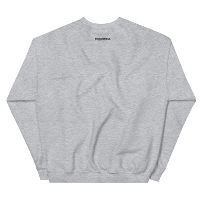 Logo DTG Print Crew Neck- Unisex Sweatshirt